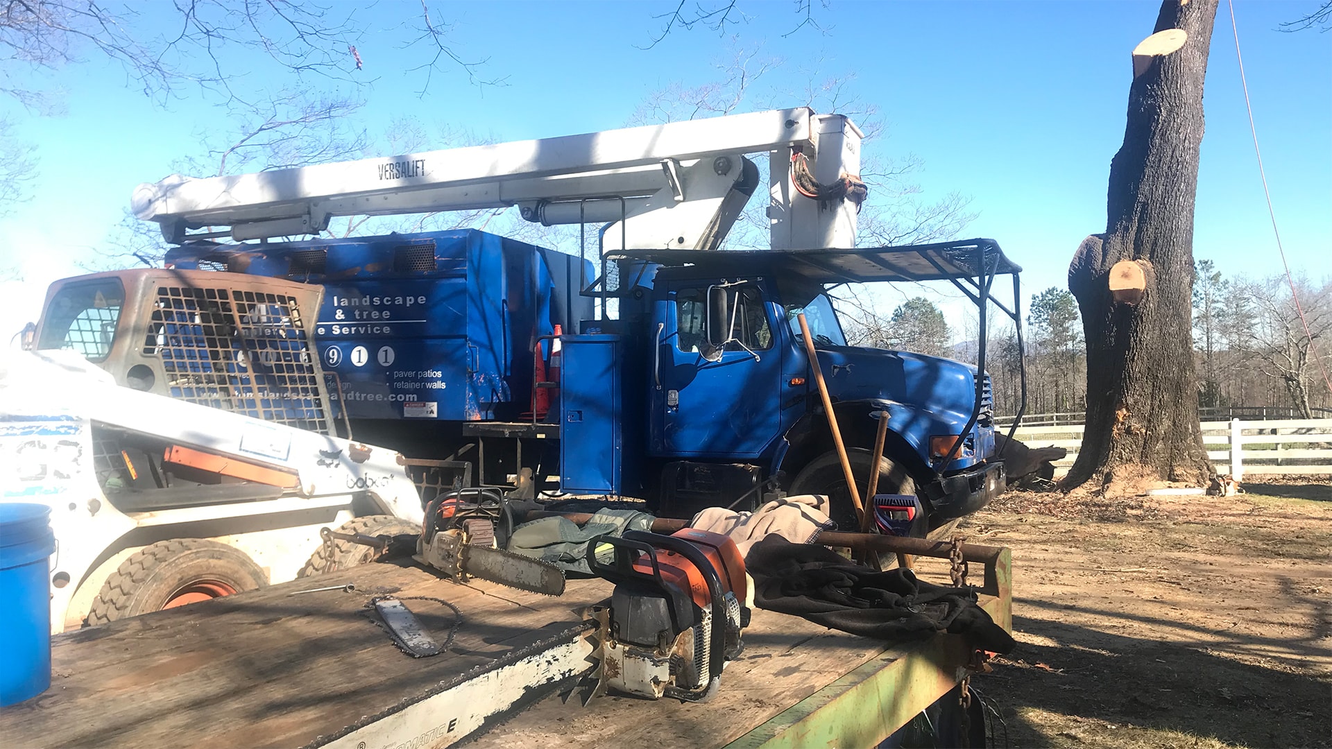 Appalachian Treework